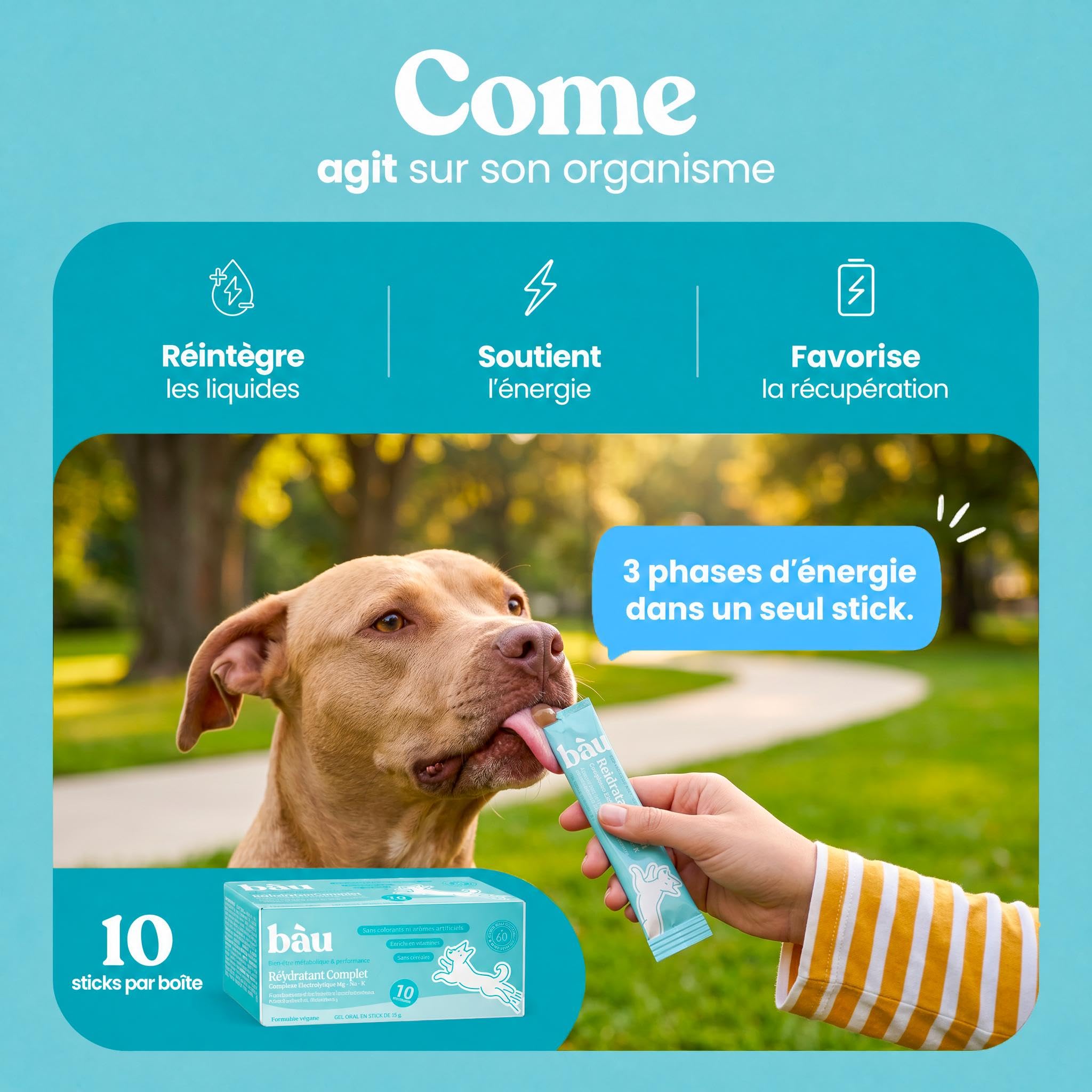 BAU Réhydratant Électrolytique pour Chiens Sportifs – Idéal par Temps Chaud – Gel Énergétique avec Magnésium, Sodium et Potassium – Soutien Pendant l’Activité – Sticks Unidose