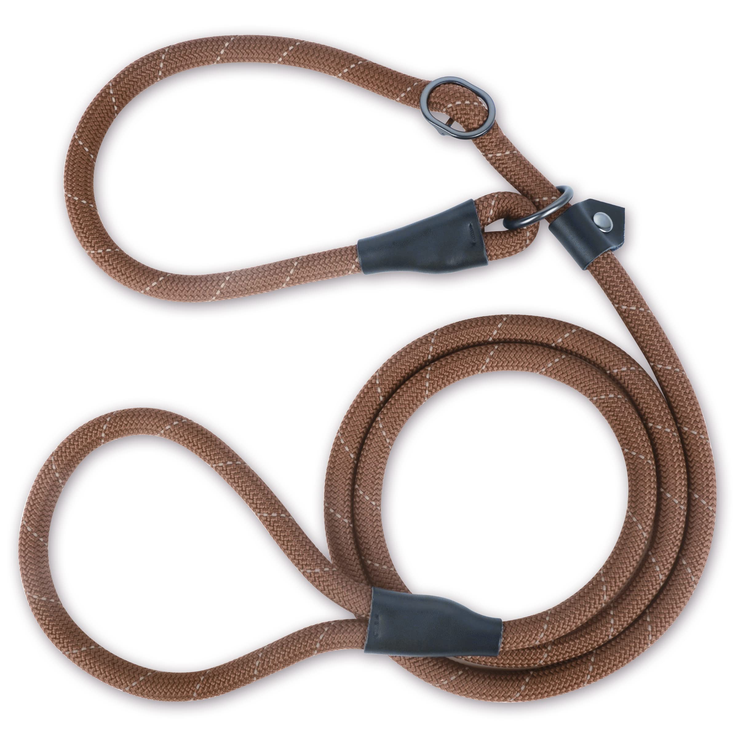 Are Slip Leads Good For Dogs That Pull