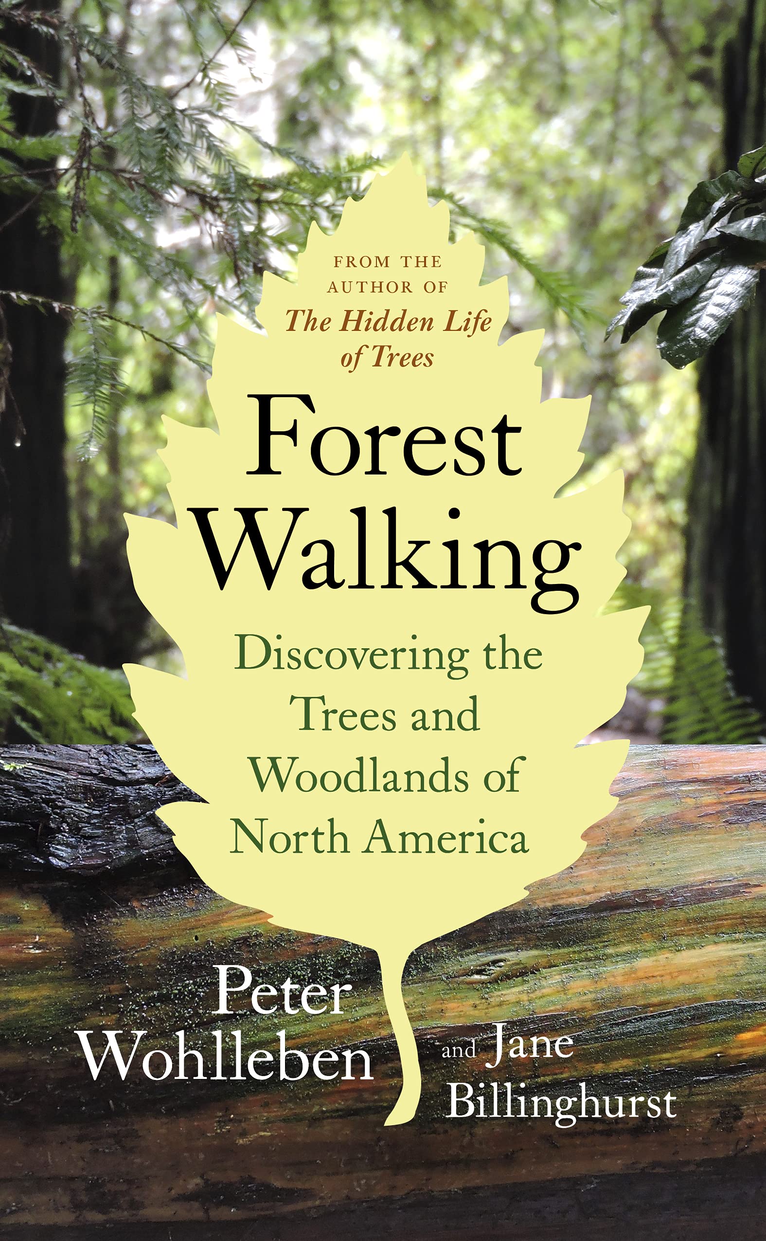Walking in the Woods: Discovering the Trees and Woodlands of North America
