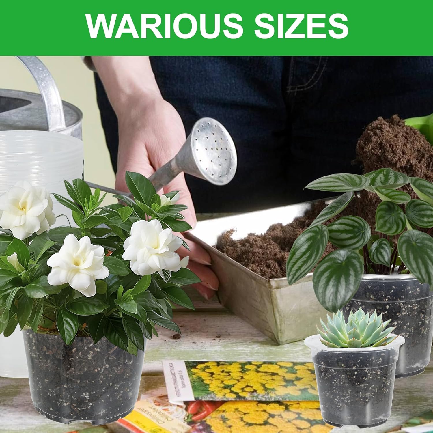 52 Pack 7/6/5/4 Inch Clear Nursery Pots with Drainage Holes,Plastic Plant Flower Pots for Planting,Succulents,Garden,Planters,Seed Starter,Indoor and Outdoor