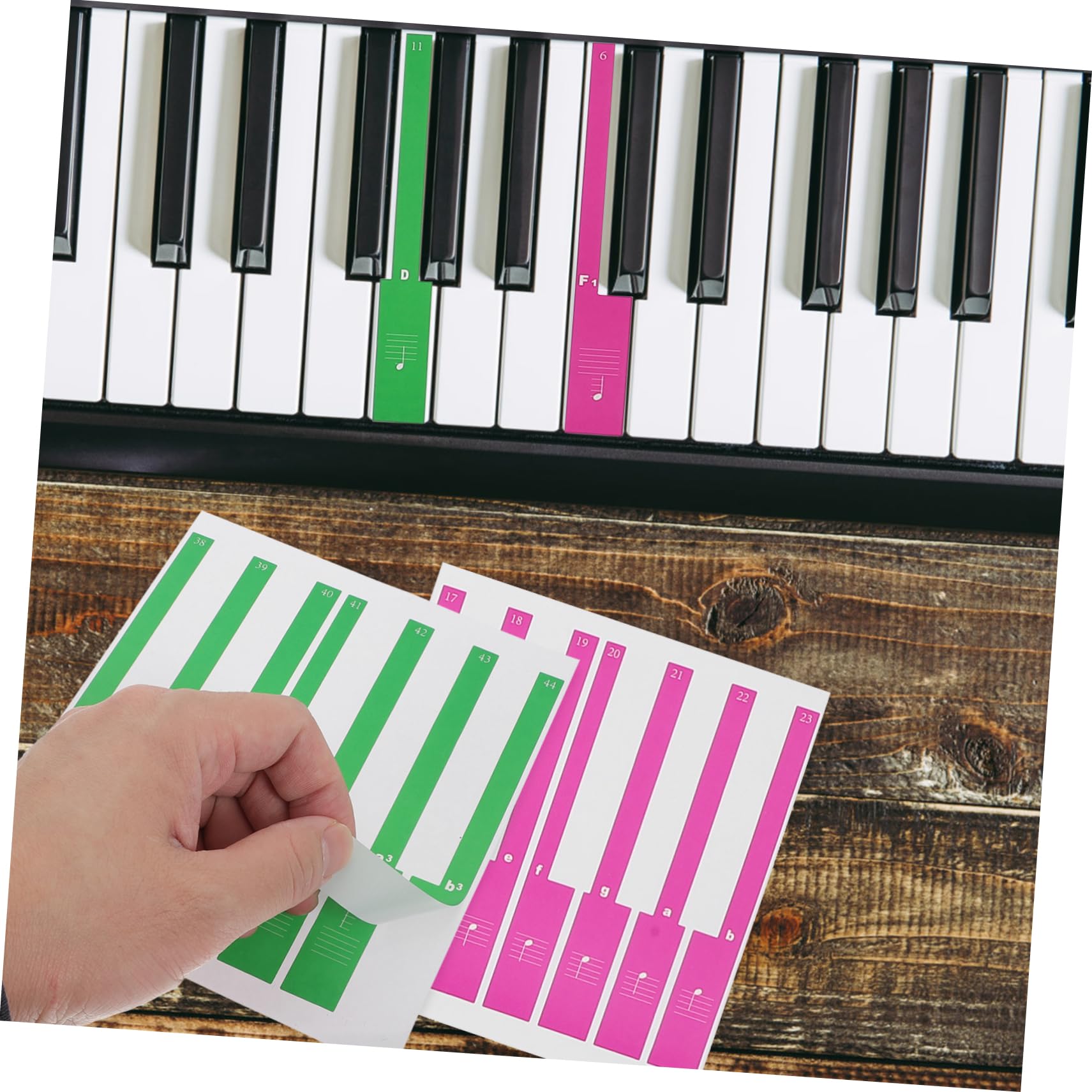 Totority Piano Keyboard Decal for Beginners Easy to Read Notes Electronic Keyboard Piano Stickers