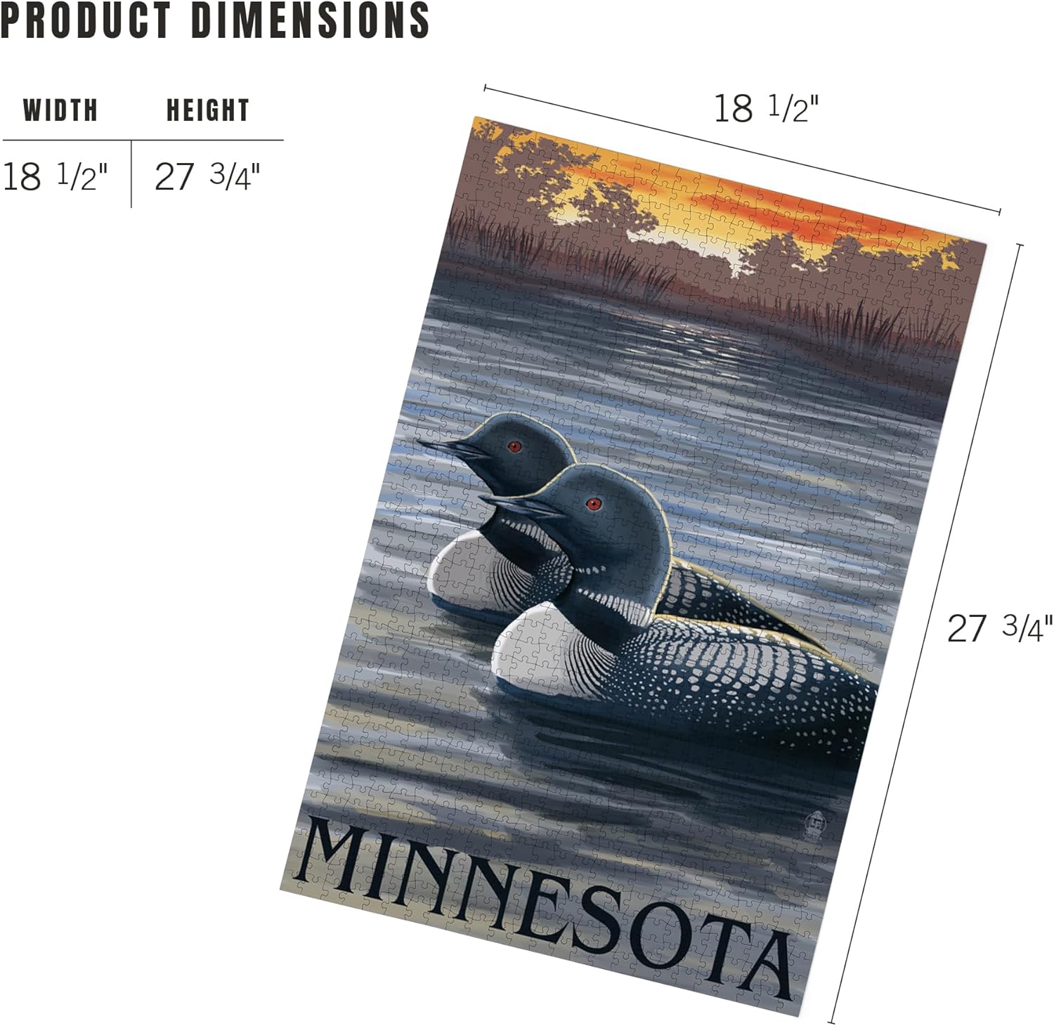 Lantern Press Minnesota Loons 1000 Piece Jigsaw Puzzle for Adults, Made in USA with Reference Poster
