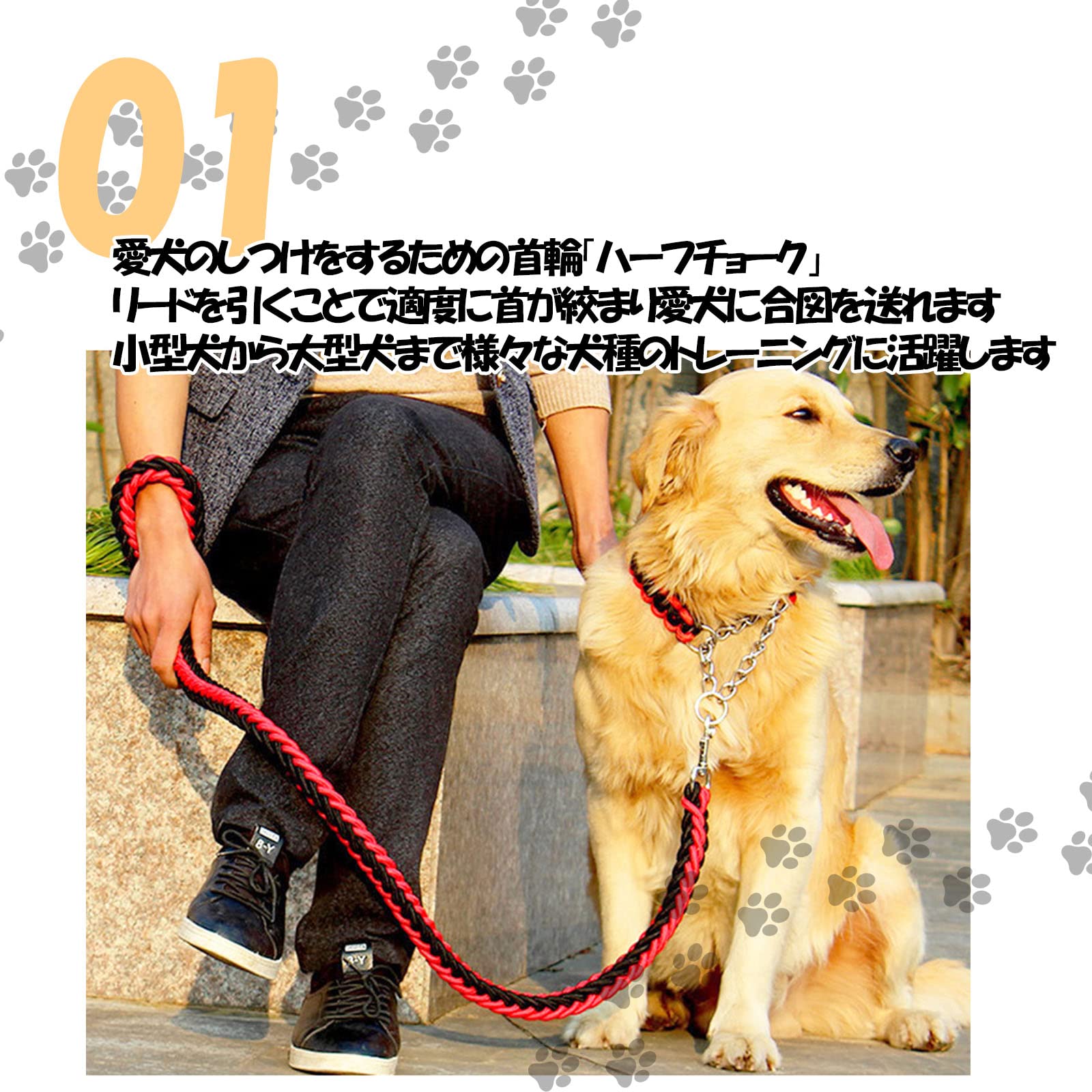 Amazon | [KOUKOA] 犬 リード ハーフチョーク 2点セット 首輪セット