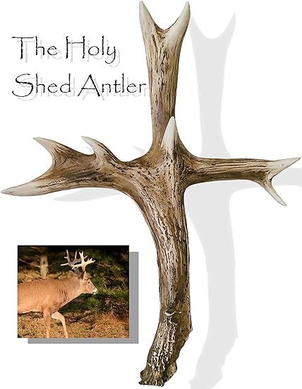 amazon elk antlers