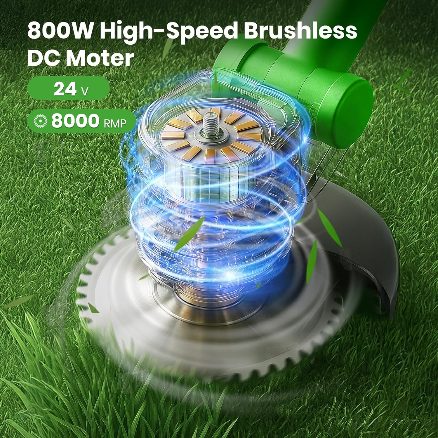 https://m.media-amazon.com/images/I/81AJ+ZHYmML._AC_SL1500_.jpg