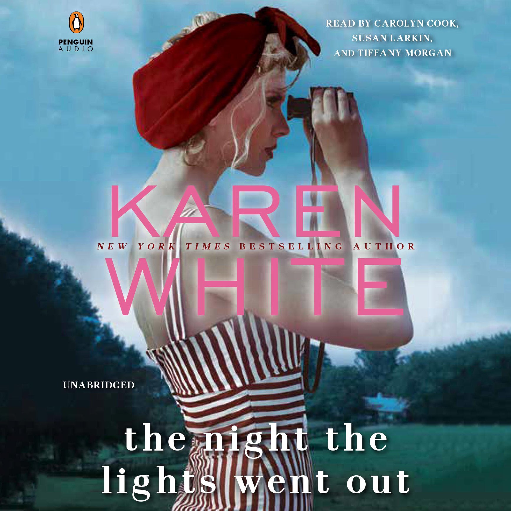 Cover art for The Night the Lights Went Out