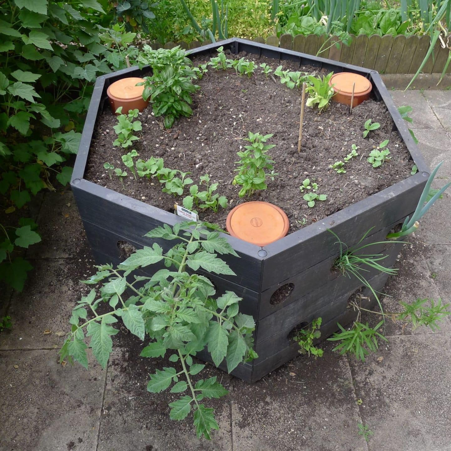 Duo Ollas Tube 2L en Terre Cuite – Fabrication Française – Arrosage Autonome Écologique pour Potager, Jardin et Plantes – Irrigation Naturelle Jusqu’à 5 Jours