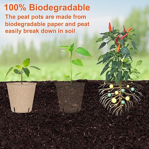 Miniatura 6 de 60 paquetes de macetas de turba de 3.15 pulgadas, macetas biodegradables para plántulas con agujeros de drenaje, macetas de vivero de germinación de