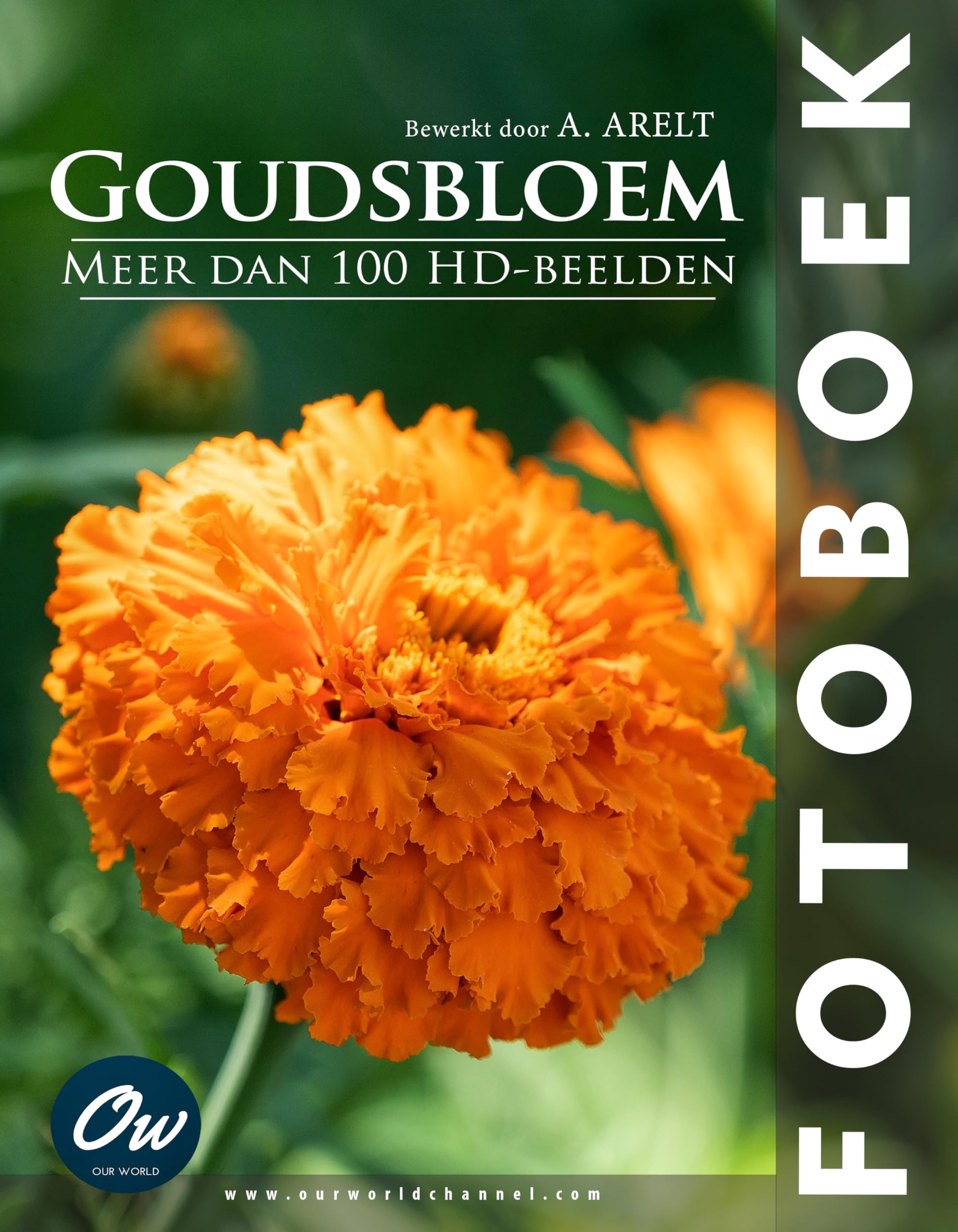 Goudsbloem Fotoboek un livre d'art aux finitions soignées pour passionnés de photographie pure