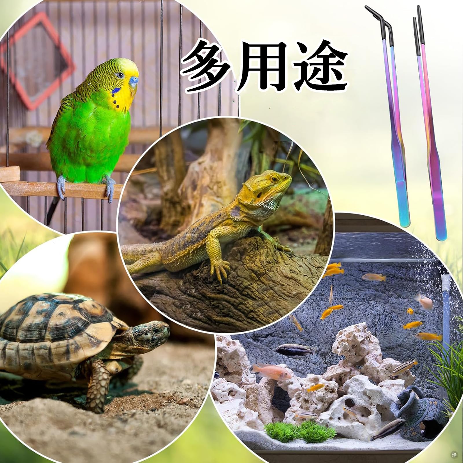 Amazon | 爬虫類 ピンセット 爬虫類給餌トング 2個入り 27cm