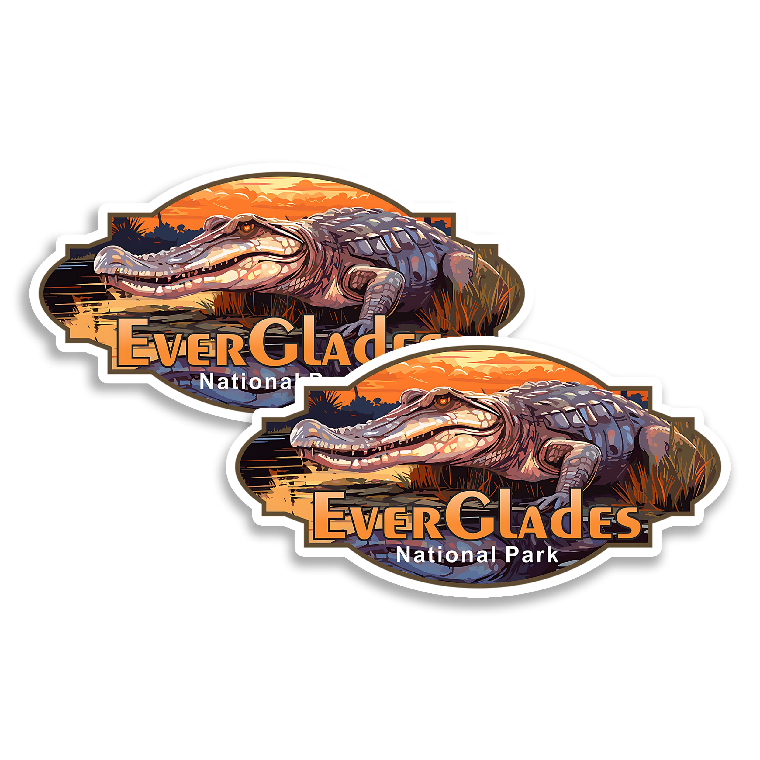 Amazon.com: Everglades National Park Florida Magnet 4 Inch 2-Pack