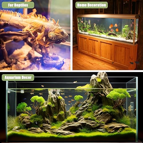 Miniatura 5 de LYPHARD AQUARIUMS Madera flotante para acuario, 3 piezas de 6 a 10 pulgadas de madera natural pequeña deriva pecera de madera variada piezas de