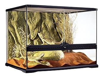 ガラス製 爬虫類 両生類 飼育ケージ エキゾテラ グラステラリウム 6045 Amazon | エキゾテラ GEX EXOTERRA グラステラリウム 6045