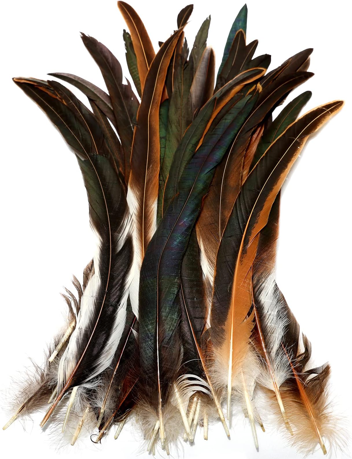 THARAHT 50PCS Rooster Coque Tail Feathers Bulk Natural 12-14Inch 30-35cm for Crafting Wedding Gras Masquerade Party Performances DIY Decoration Rooster Tail Feather,Natural
