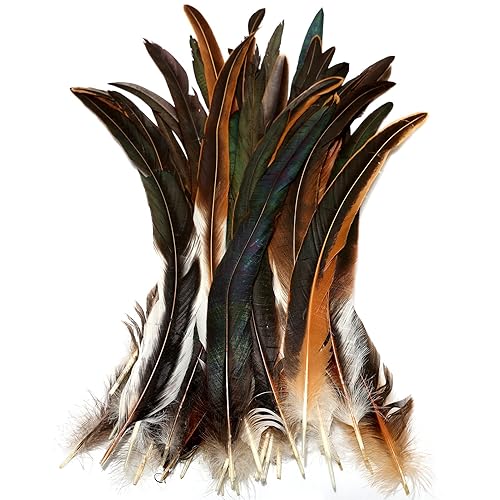 THARAHT 50PCS Rooster Coque Tail Feathers Bulk Natural 12-14Inch 30-35cm