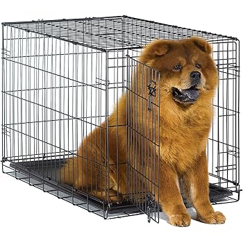 36 inch puppy crate