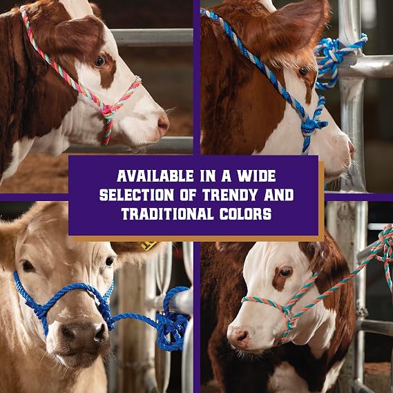 Weaver Livestock Braided Poly Rope Cattle Halter, Adjustable, Modern Style Cow Calf Halter, Livestock Handling Equipment for Showing, Black