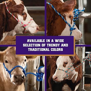 Weaver Livestock Braided Poly Rope Cattle Halter, Adjustable, Modern Style Cow Calf Halter, Livestock Handling Equipment for Showing, Black