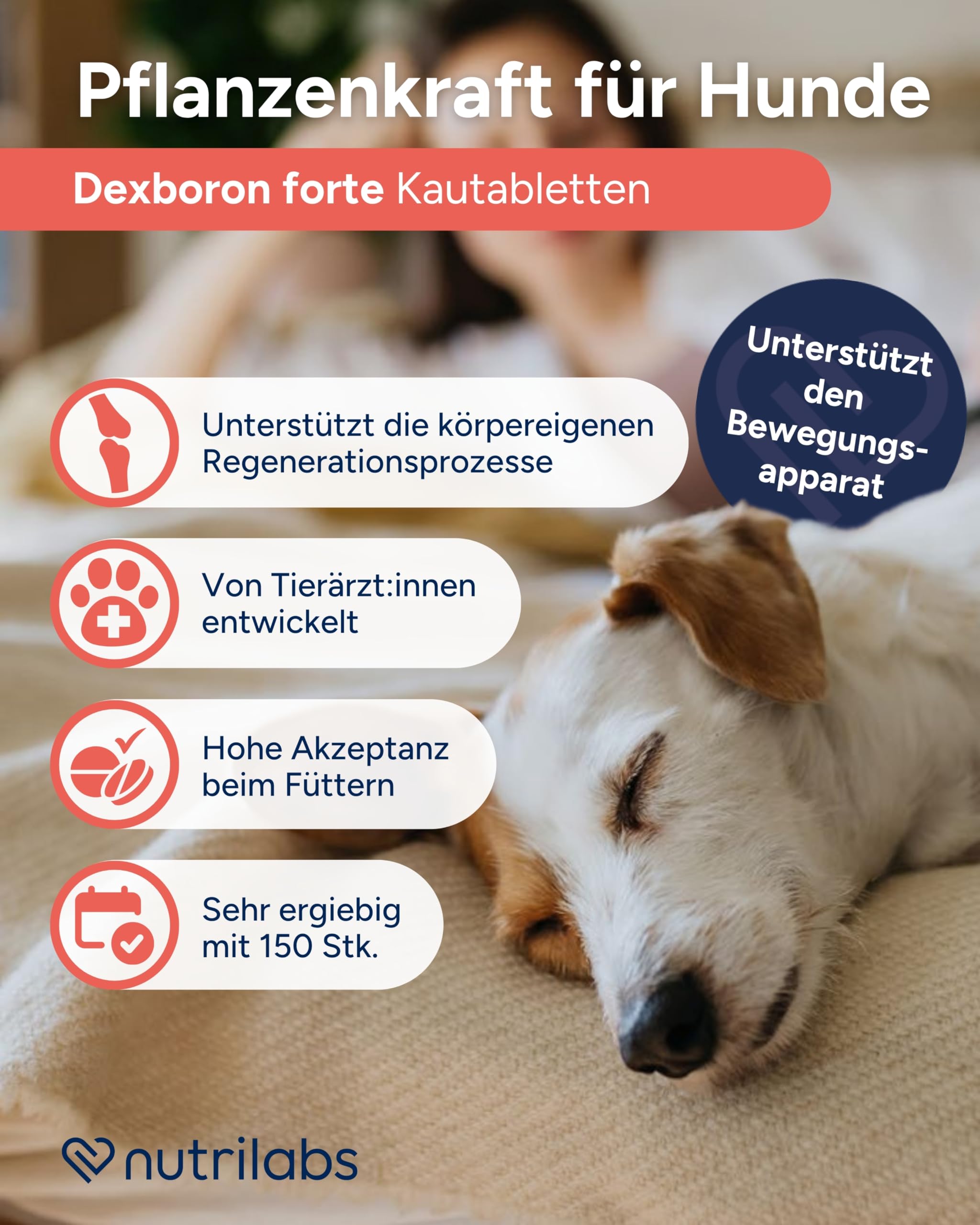 NutriLabs Dexboron forte Hunde Kautabletten 150 STK. - Tabletten mit Teufelskralle - Regenerationsmittel mit Weidenrinde, Weihrauchextrakt u.v.m.