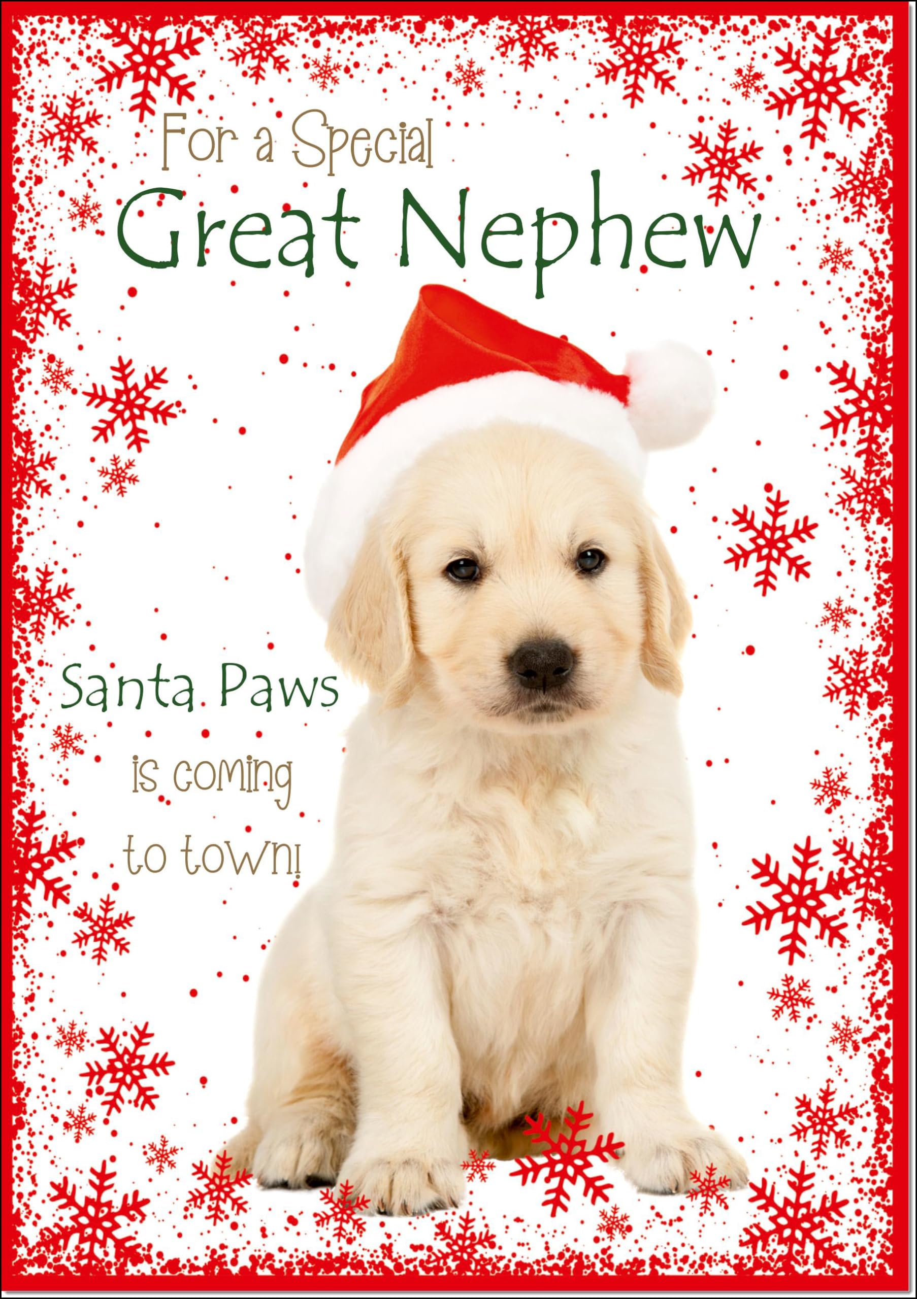 doodlecards Great Nephew Christmas Card Cute Santa Paws Puppy Dog Pet Large A4 Size Christmas Card for Great Nephew with Plain Envelope