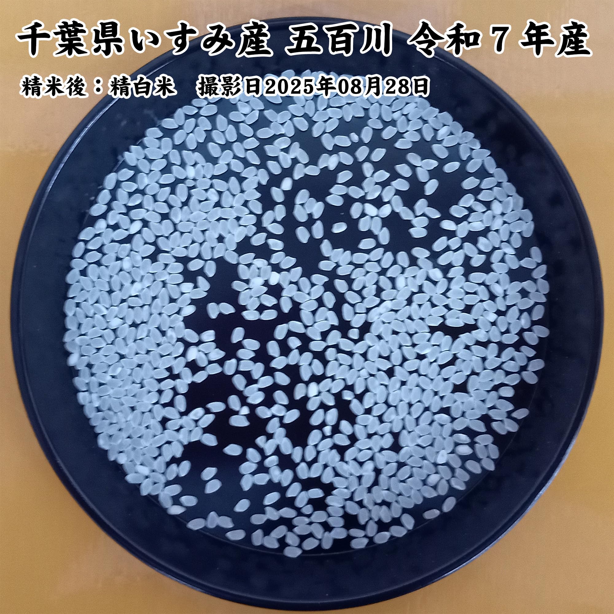 Amazon.co.jp: 千葉県いすみ市産 五百川 令和7年産 白米 5kg : 食品