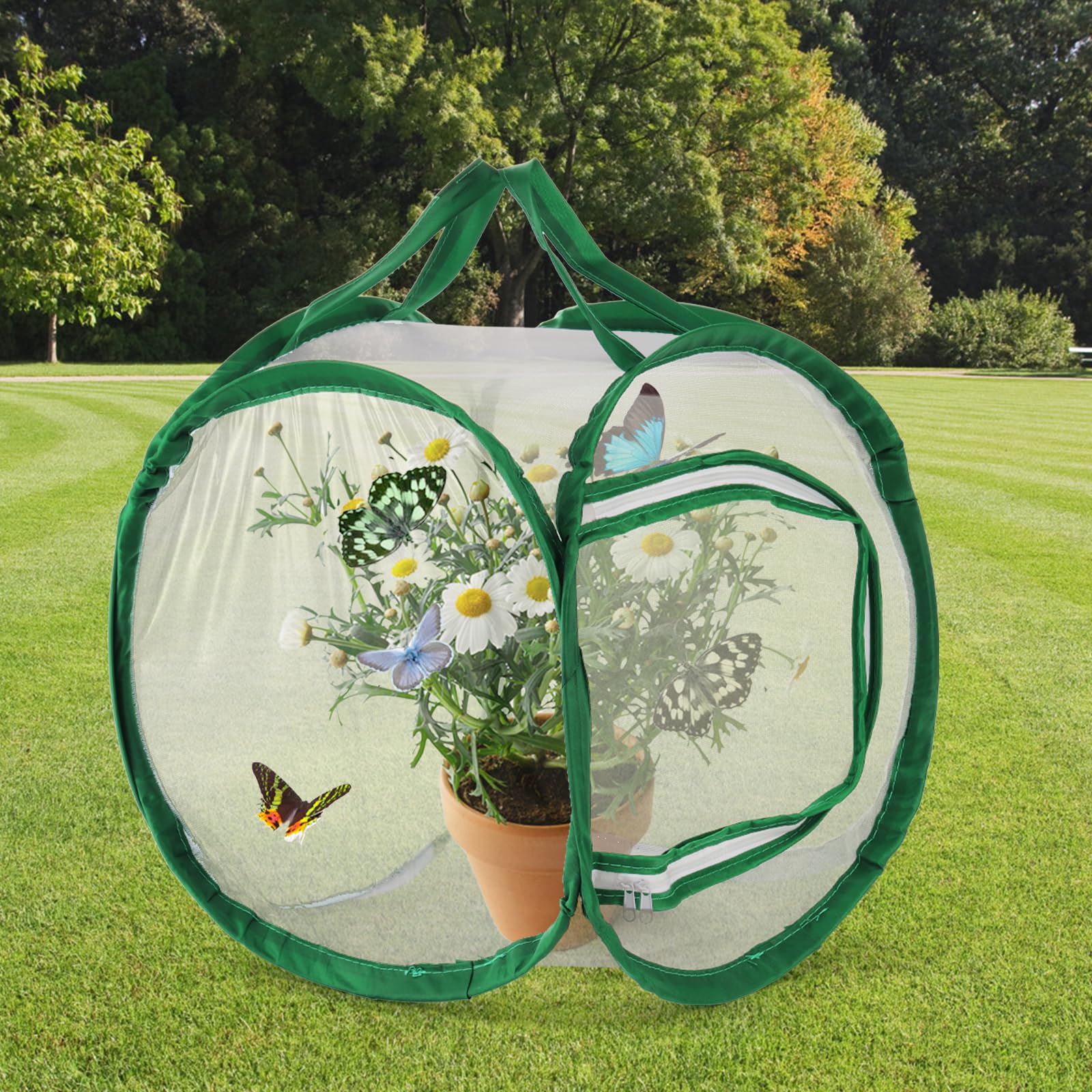 Descubre La Magia De La Naturaleza: Jaula Transparente Para Mariposas Y Orugas (31,5x40cm)
