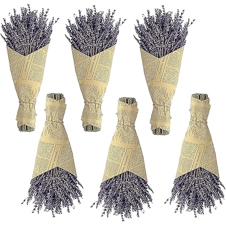 Dried Lavender Bundles,6pack Natural Dried Flowers Bouquet with Stems（Length 14-17 inches , 540-600 Stems,Greate Home Fragrance Product for Decoration, Photo Props,Wedding,Party