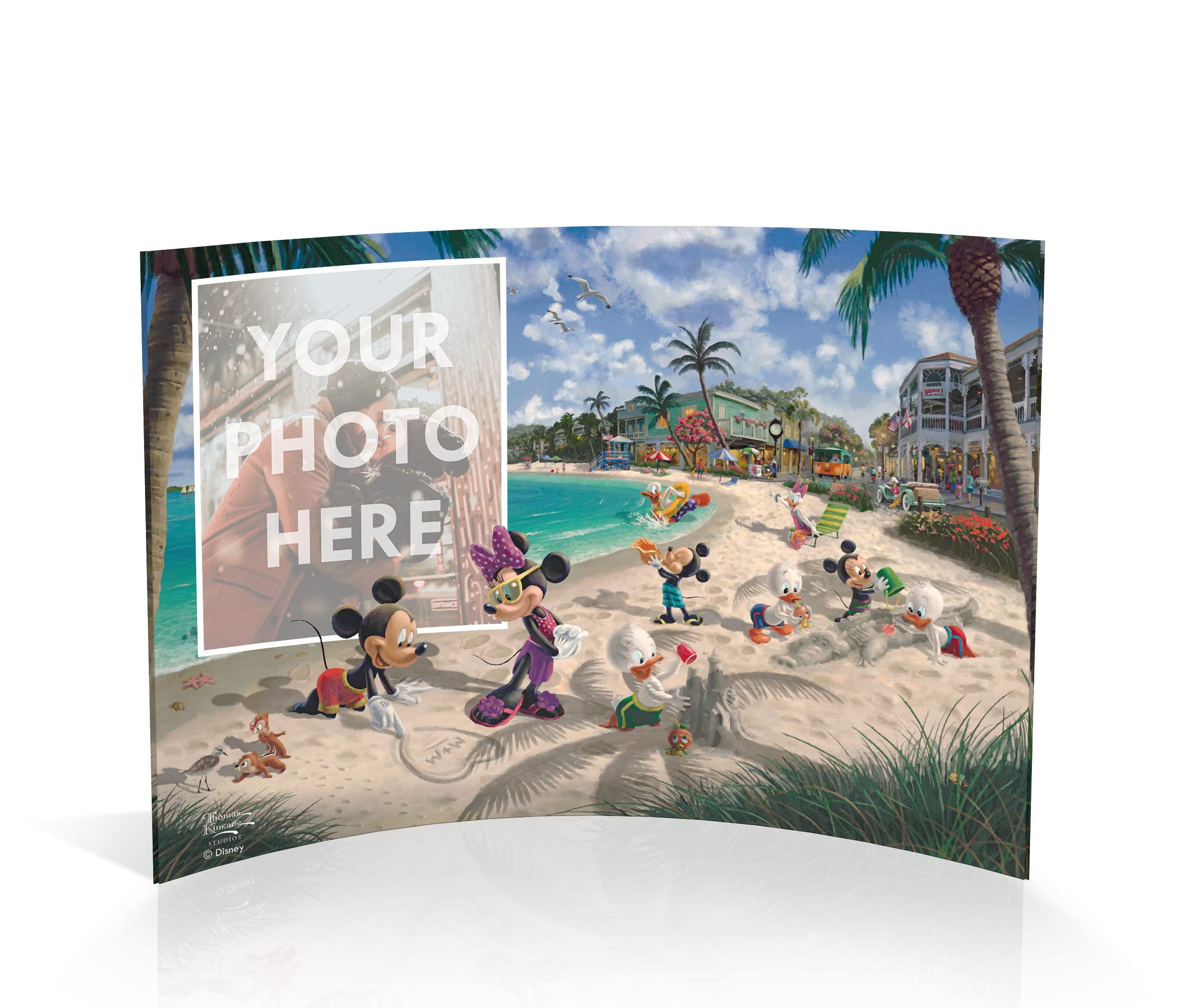 Amazon.com: Disney – Mickey and Minnie Mouse in Florida