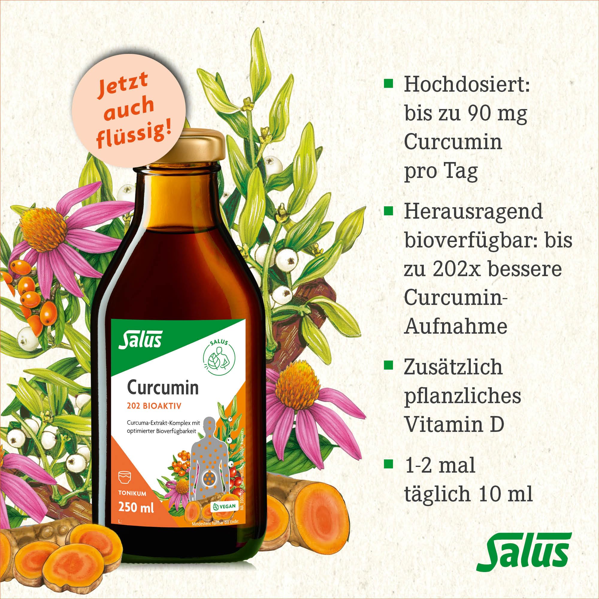Salus Curcumin 202 Bioaktiv Tonikum – herausragende Bioverfügbarkeit: bis zu 202x bessere Curcumin-Aufnahme – ohne synthetische Polysorbate oder Piperin – mit Vitamin D3 – 250 ml