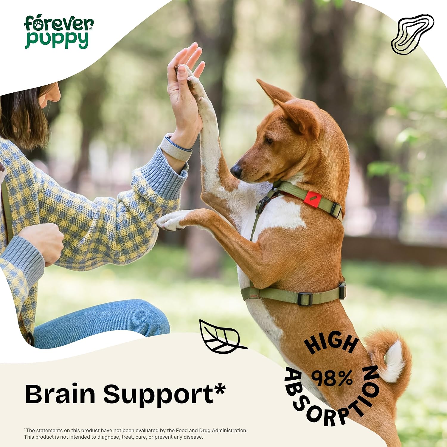 Forever Puppy Lions Mane Mushroom Supplement for Dogs - Brain & Focus Support - Liquid Lion's Mane Mushroom for Dogs - Canine Vitamins and Supplements - Sugar & Alcohol-Free Drops - 2 fl oz