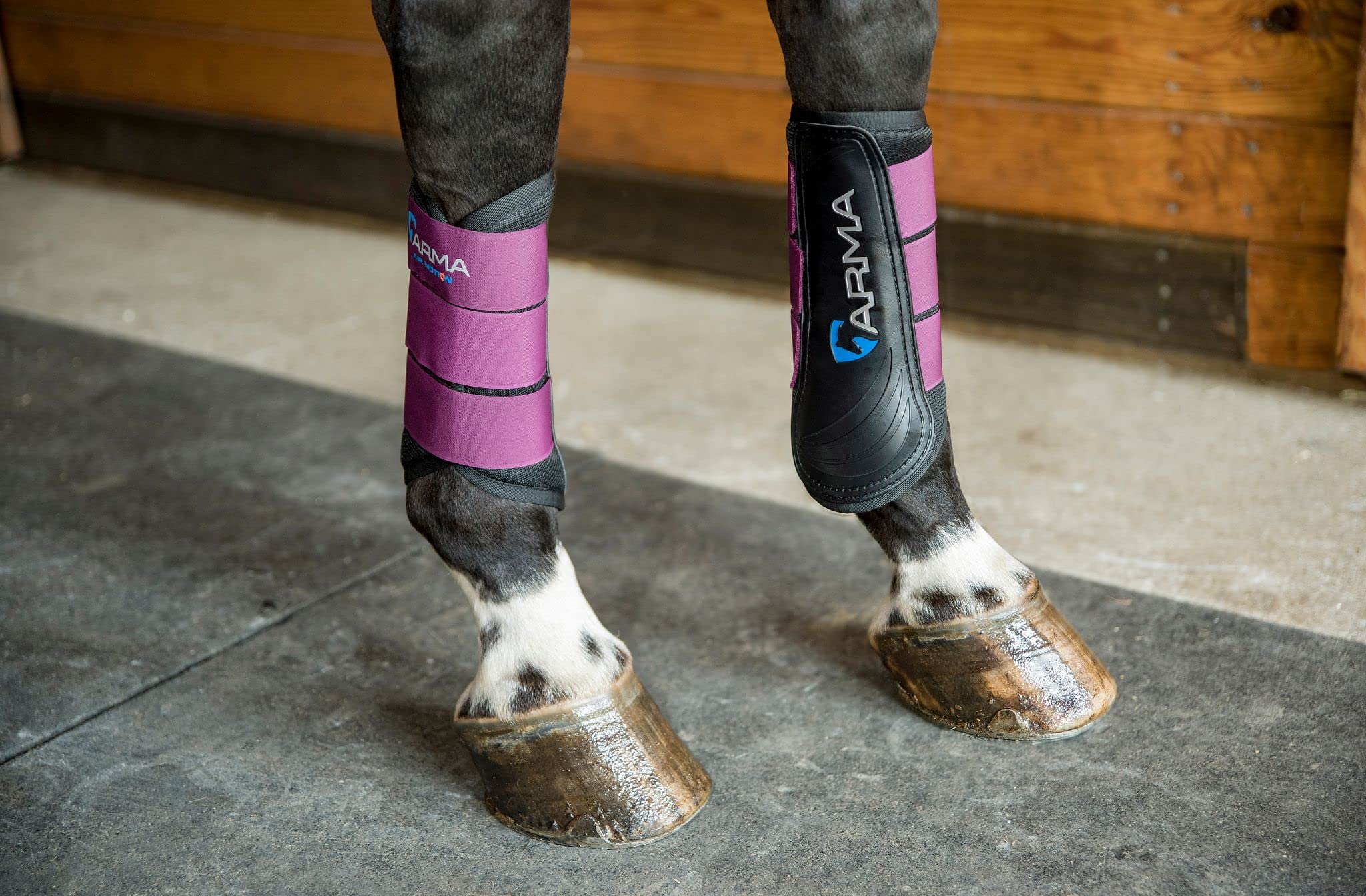Shires ARMA Air Motion - Botas de cepillado