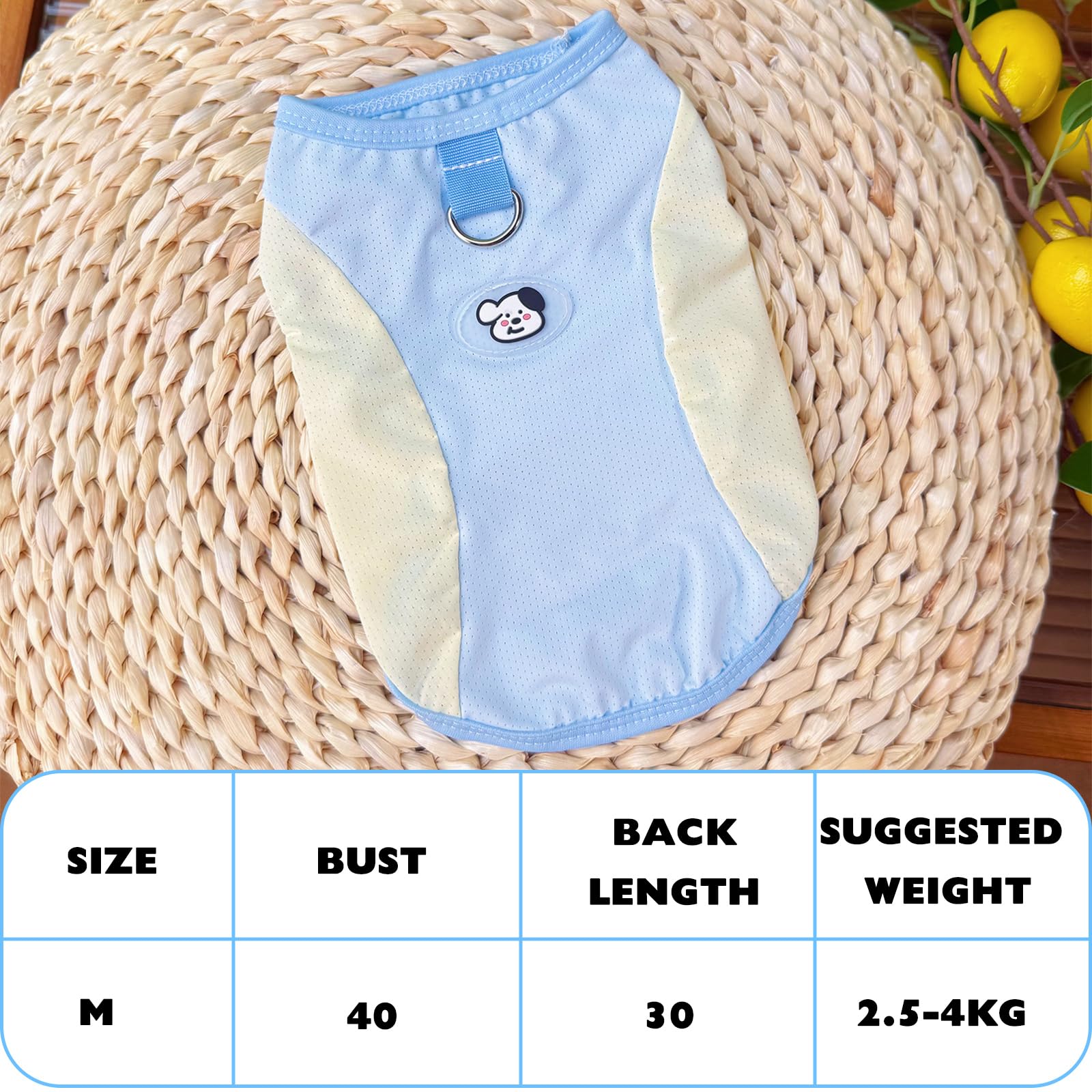 KASESSS 2 Pcs Dog Cooling Vest, Summer Dog Clothes, Cooling Dogs Coat, Breathable Dogs T Shirt - Image 2
