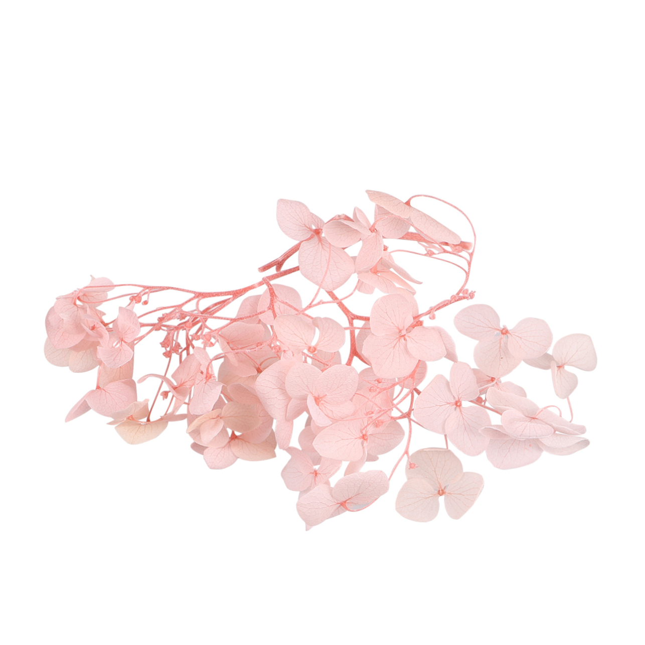 Pétalos de Hortensia Secos Naturales Rosa para Decoración DIY miniatura 7