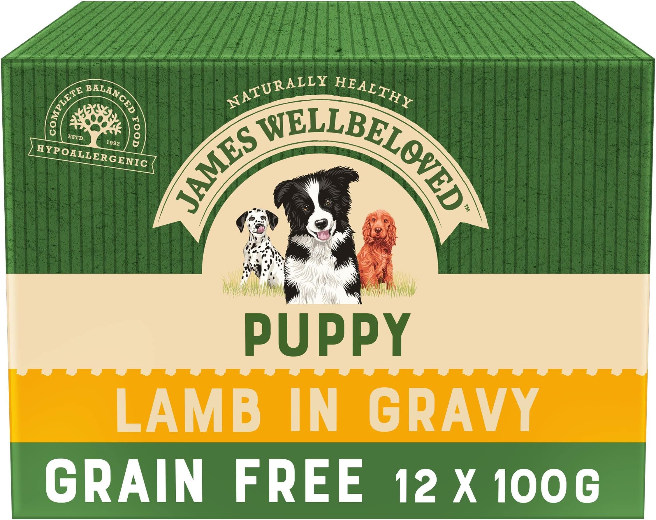 James Wellbeloved Junior Grain-Free Lamb in Gravy 12 Pouches, Hypoallergenic Wet Dog Food for Puppies, Pack of 1 (12x100 g)