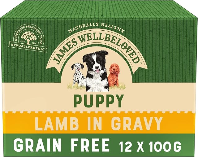 James Wellbeloved Junior Grain-Free Lamb in Gravy 12 Pouches, Hypoallergenic Wet Dog Food for Puppies, Pack of 1 (12x100 g)