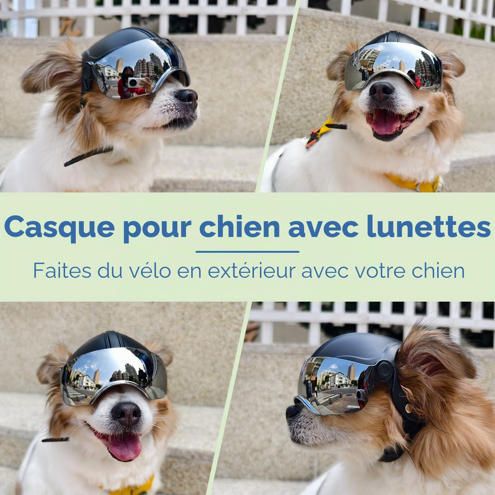 Enjoying Casque et Lunette Moto Chien, Protection UV, Casque pour Chien, Anti-Sable, pour Chiens de 7,5 à 12,5 kg, Verres Argentés