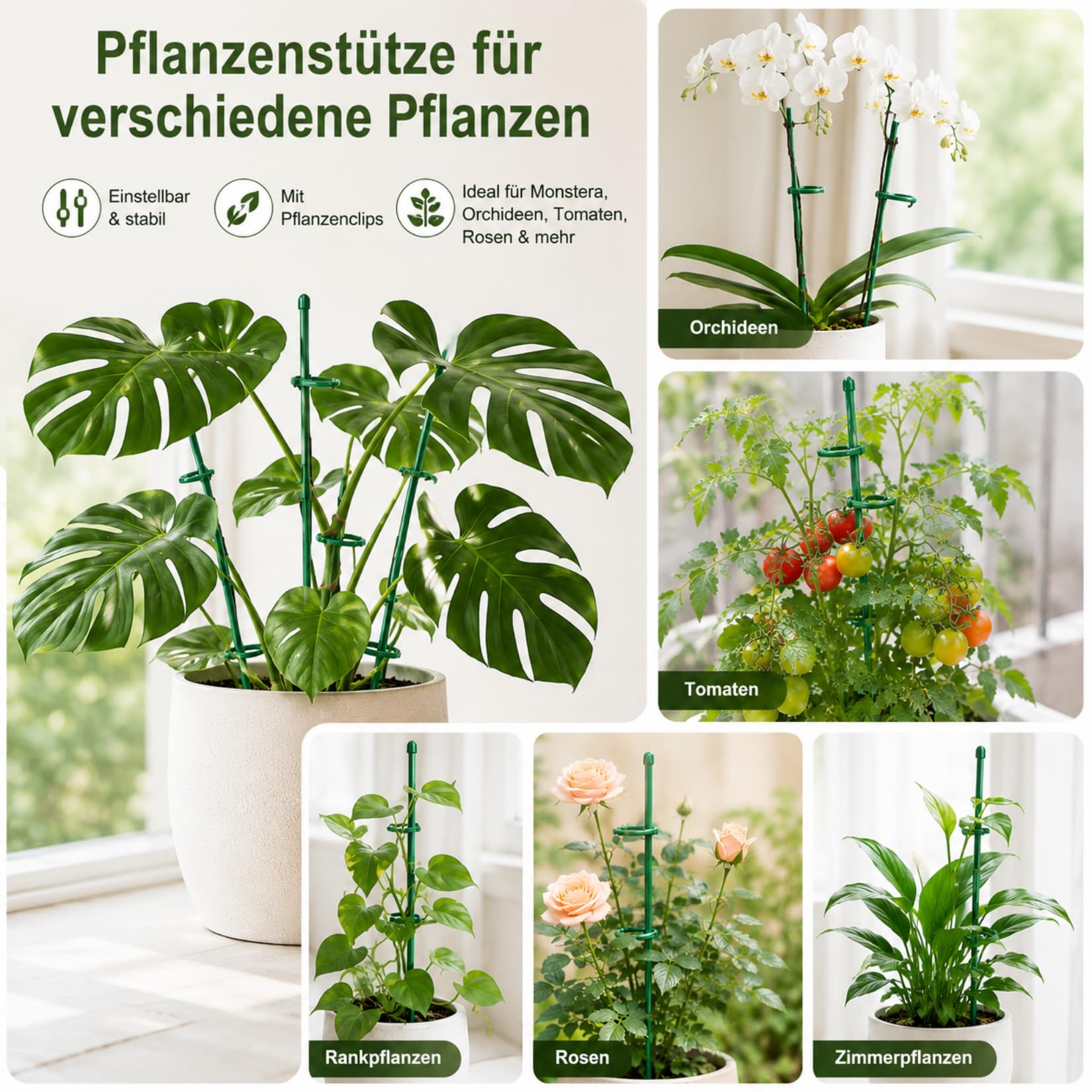 6 sztuk podpórki do roślin 30 cm, Regulowany uchwyt do roślin pnących z klipsami, Podpora do roślin dla Monstera, Orchidei, Pomidorów, Róż i innych kwiatów (zielone)