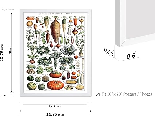 Miniatura 426 de Poster Master Póster vintage de orquídea, estampado de flores retro, arte de pared de plantas exóticas, arte botánico, regalo para hombres y