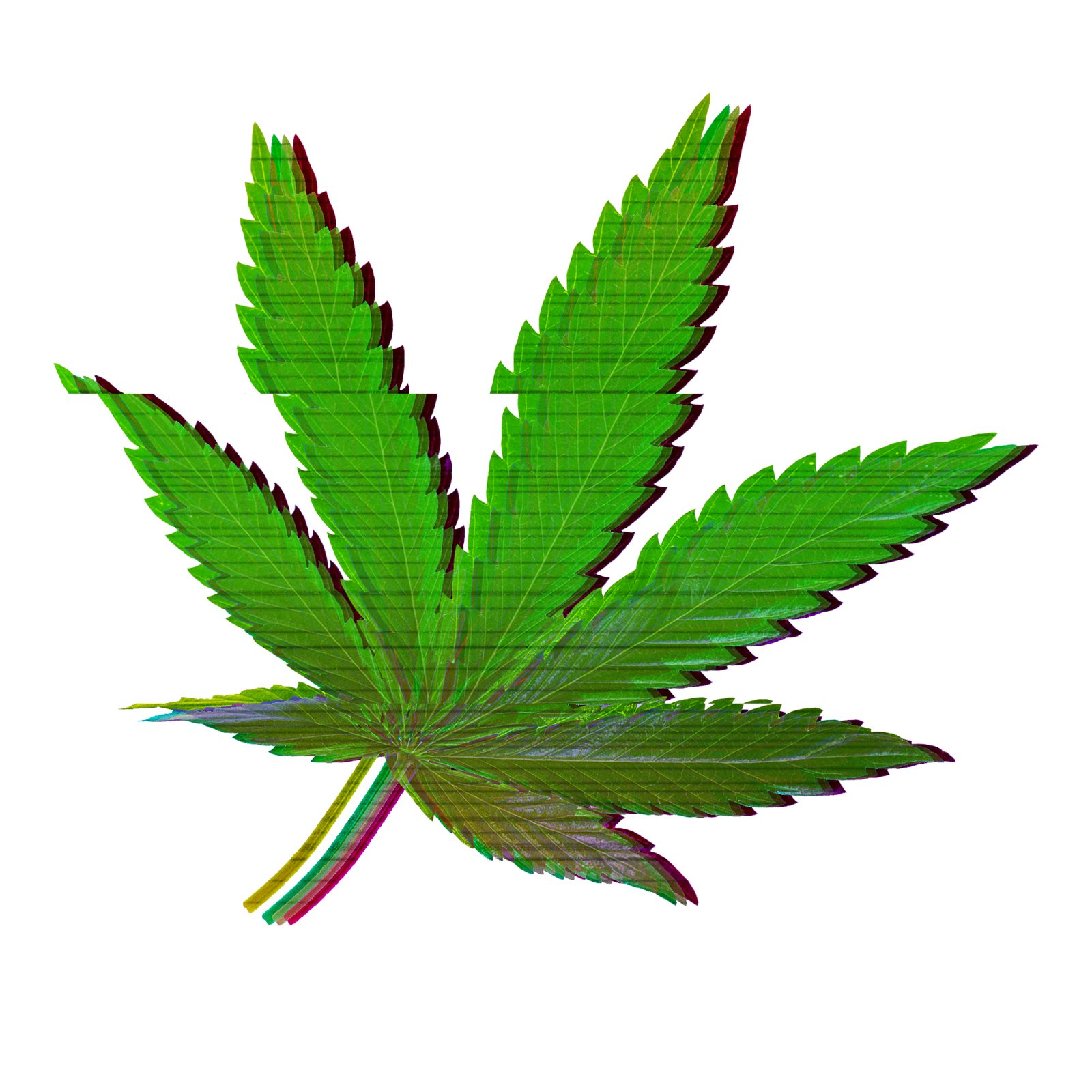 Pot Leaf Distorted Guitar Instrument Pickguard Sticker - 5