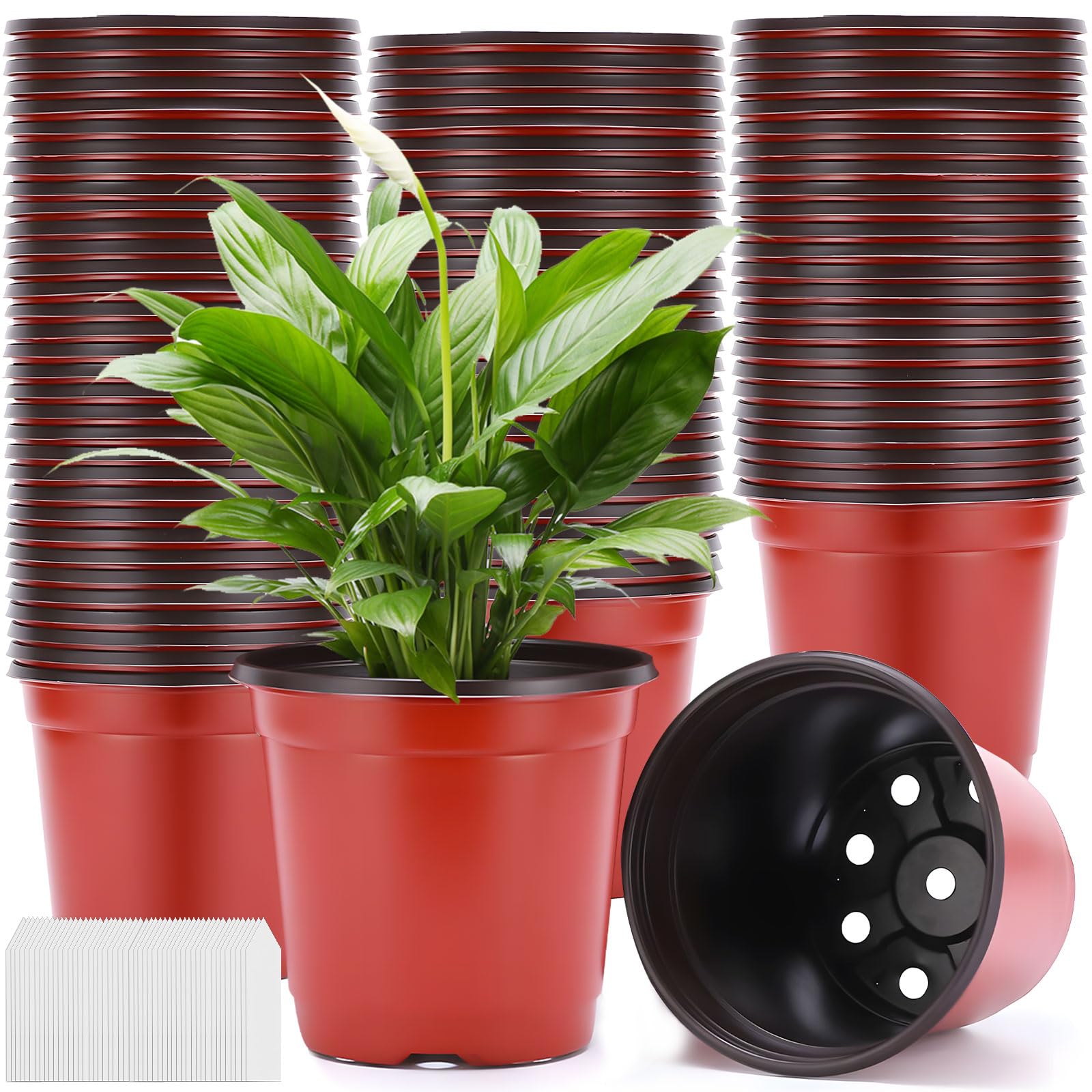 Purpledi 100 Pezzi Vasi Plastica per Piante, Vasetti per Piantine 10 cm di Diametro, mini Vaso Piante Leggeri, Vasi Plastica con 8 Foro di Drenaggio, per Trapianto, Semina, Trapianto, Talee