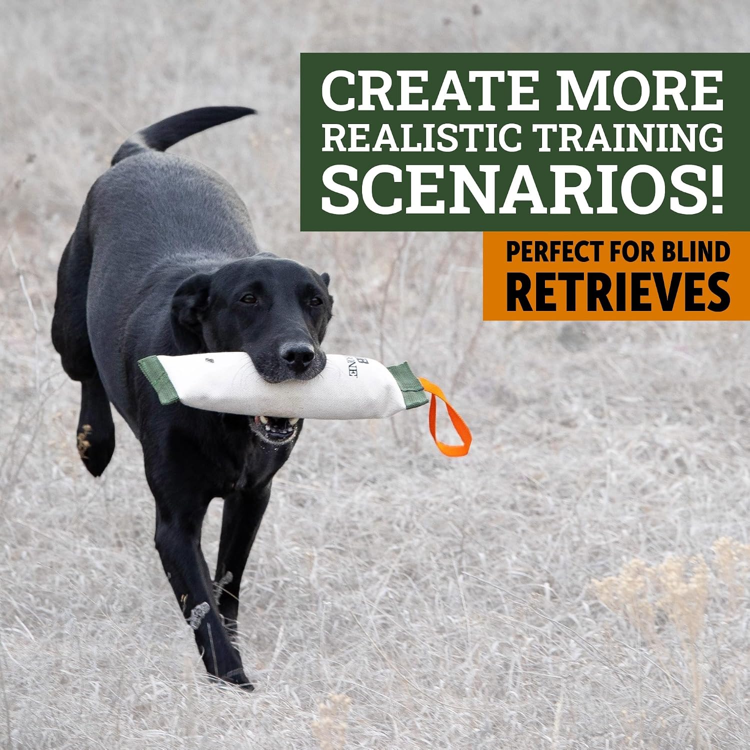 Dog Training Scent for Hunting Dogs - Great Nosework for a Duck or Bird Dog | 2 oz dog scent training kit. Great for mental stimulation nose work & retriever training. Pair with a dummy or bumper