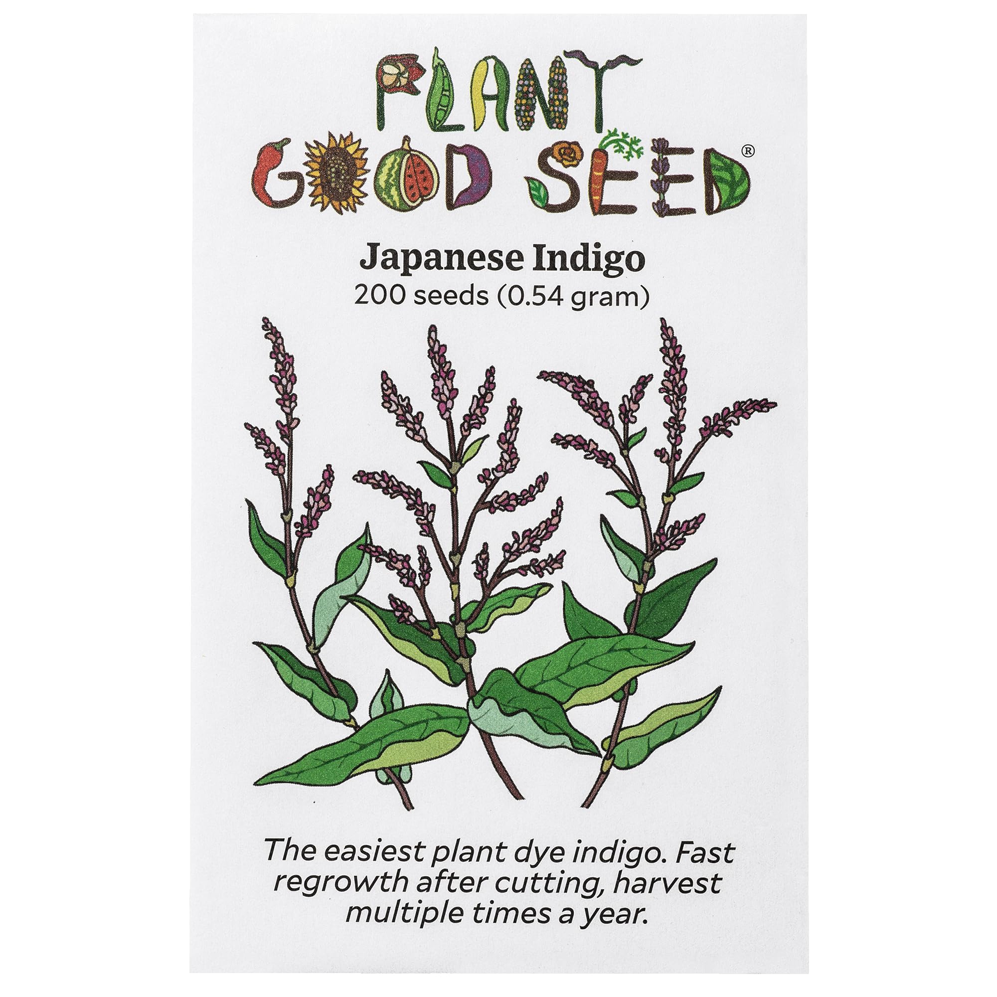 plant plum from seed Wild Plum SEEDS  Living Soil Tree Farm