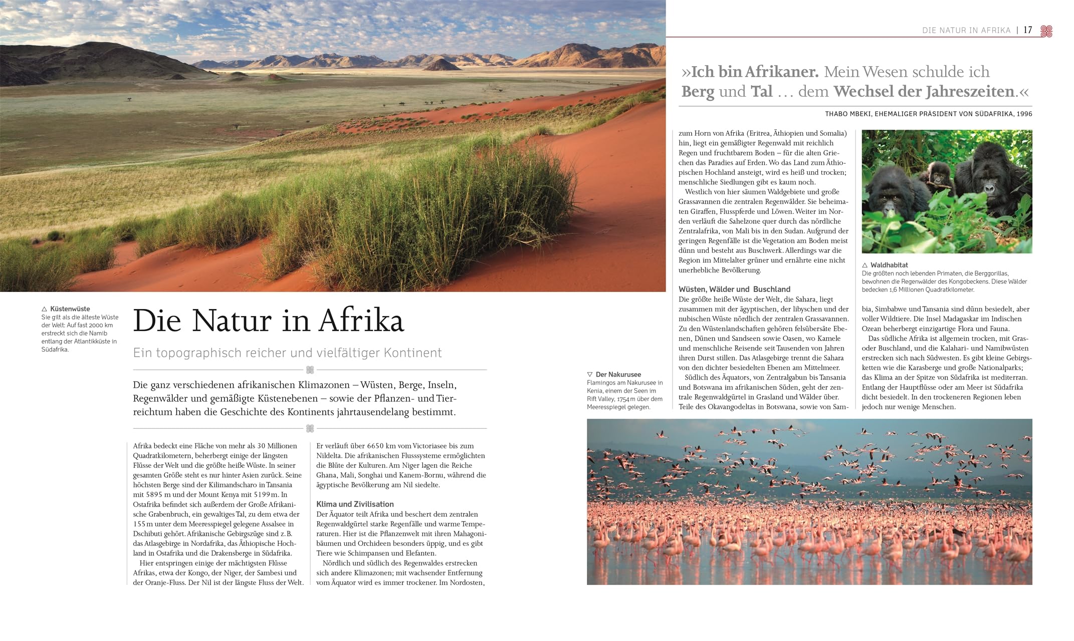 Afrika: Die visuelle Geschichte eines Kontinents. Hochwertiger Bildband mit über 650 Fotografien, Illustrationen und 3D-Grafiken (DK Kulturgeschichte)