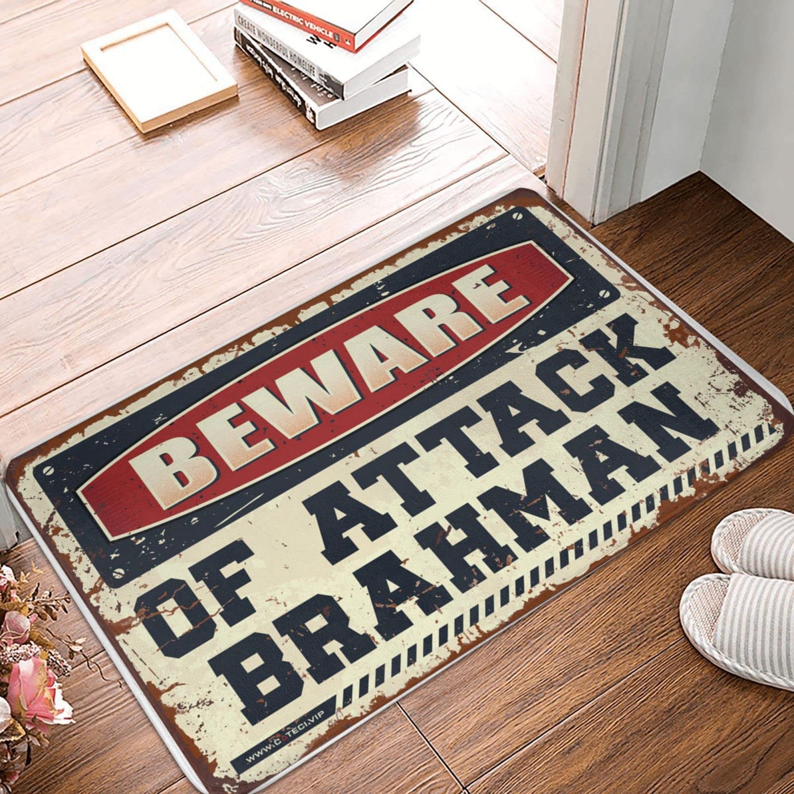 Paillasson extérieur Hello Beware Brahman tapis de porte entrée intérieur 65x90