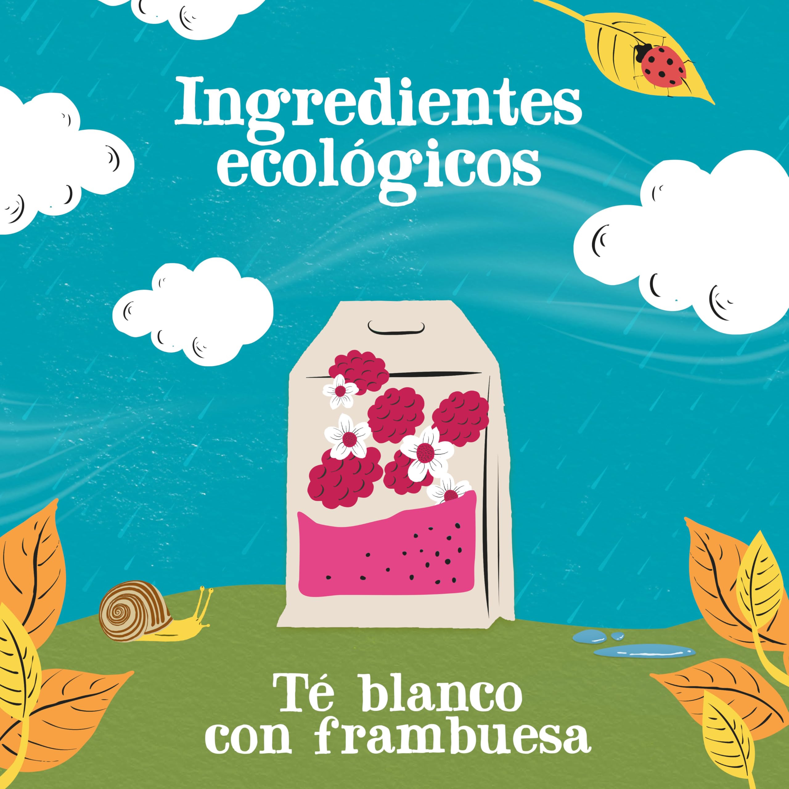 CUPPER - Caja de 50 bolsitas de Té Blanco Con Frambuesa Bio - Apto para Veganos - Contiene Frambuesa | Té blanco con frambuesa | sin plástico y sin blanquear | perfecto para la oficina | comercio justo