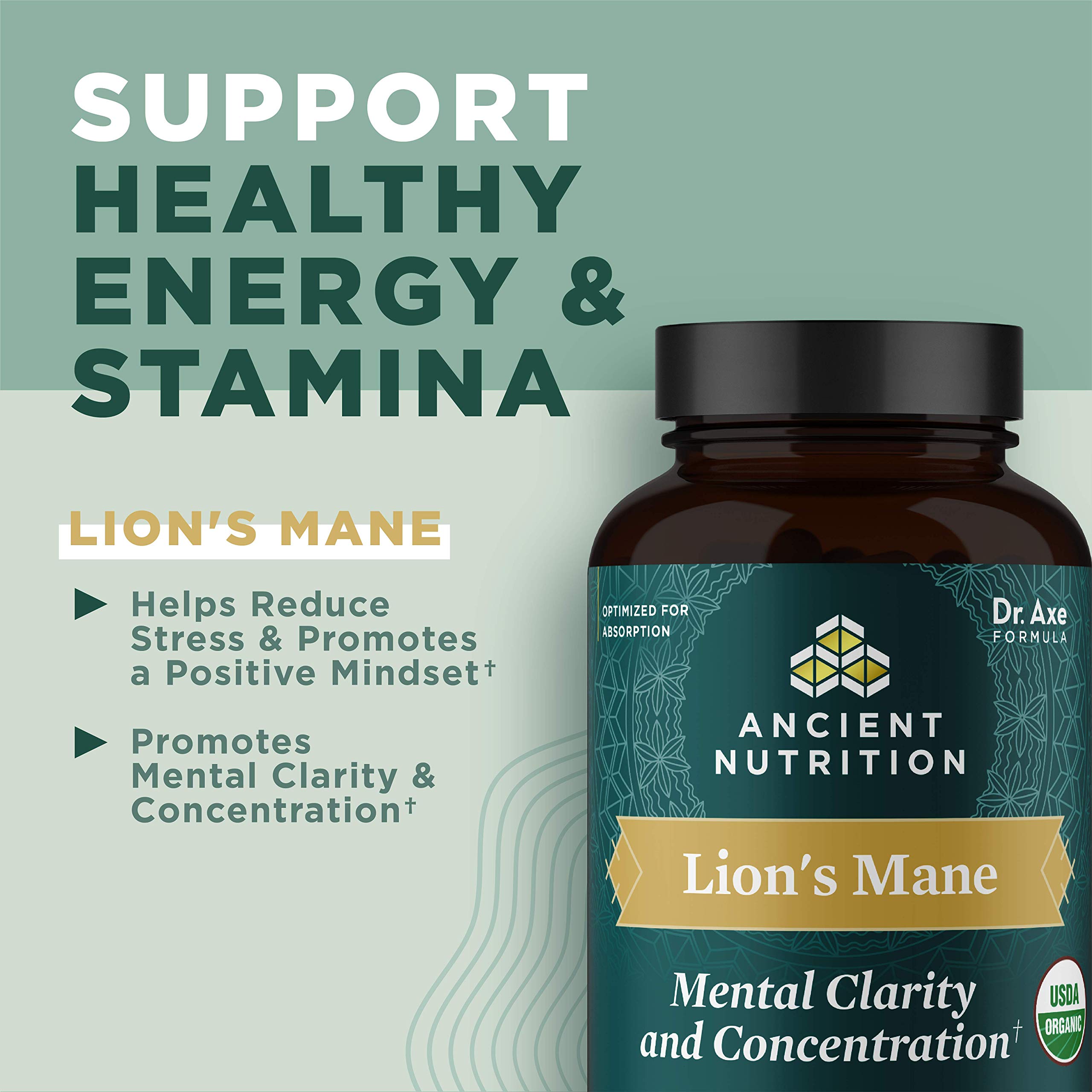 Ancient Nutrition Organic Lion's Mane Mushroom Tablets — Amazon image 2
