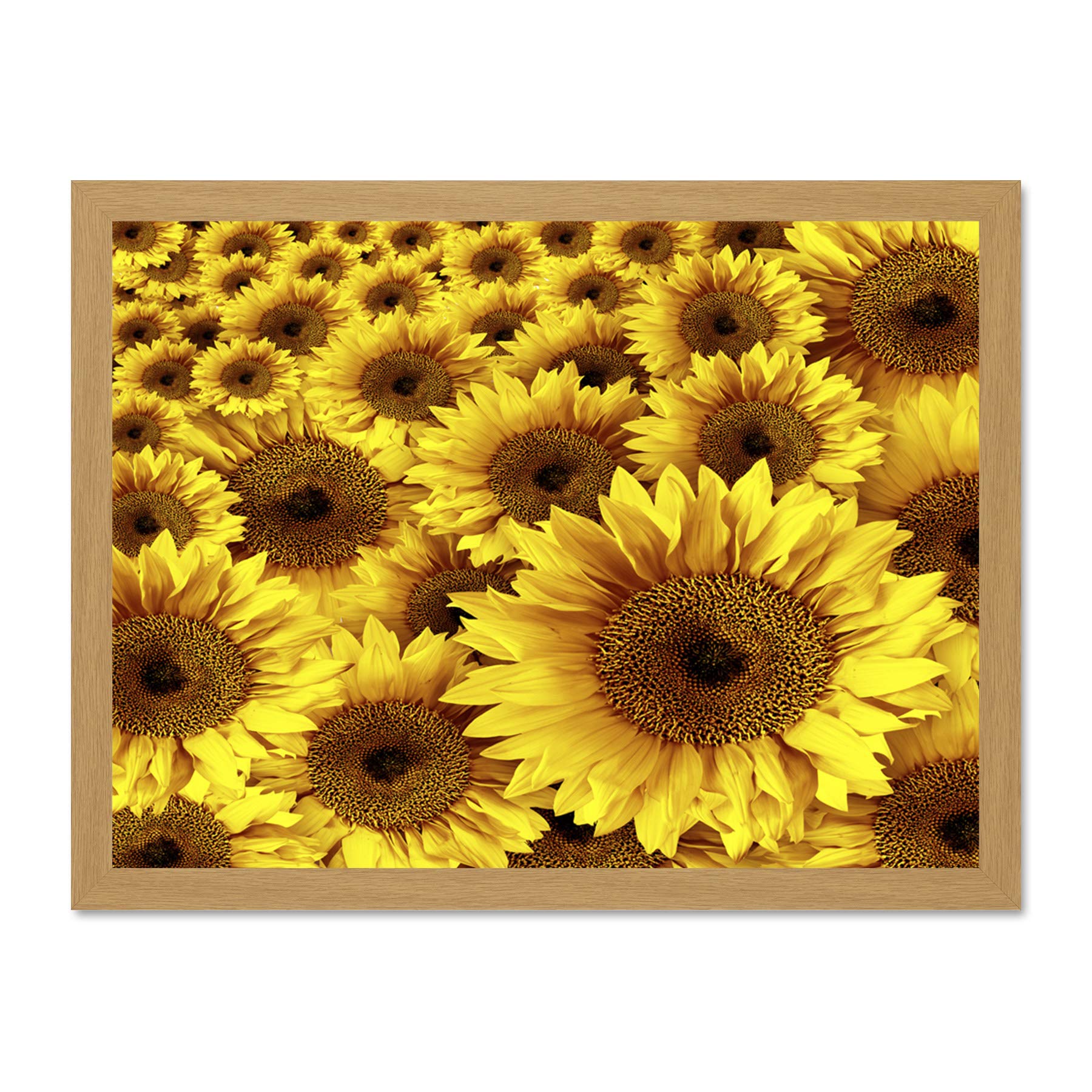 Wee Blue Coo Mp Composition Nature Plant Flower Sunflower Yellow Large Framed Art Print Poster Wall Decor 18x24 inch
