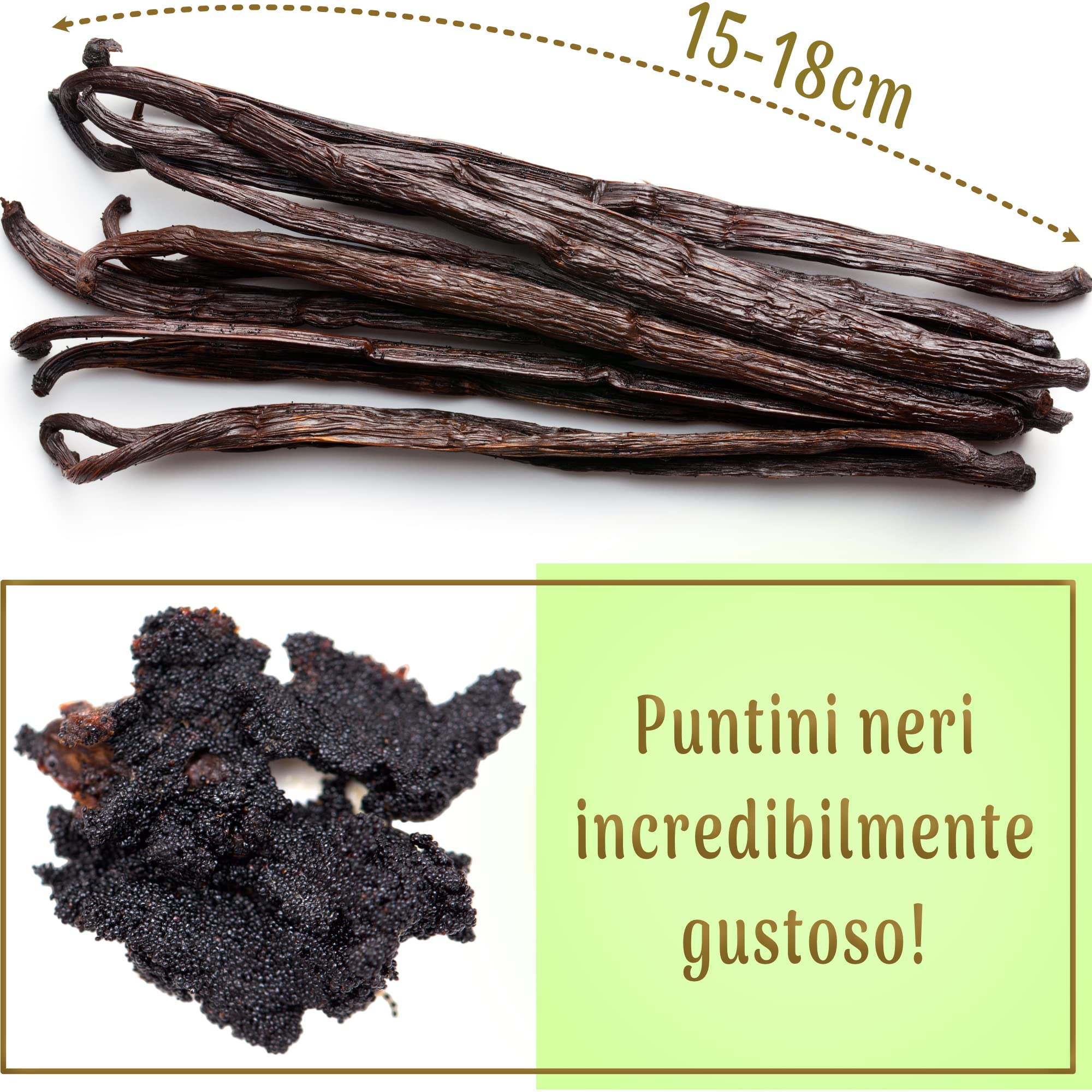 15 Baccelli XL • Vaniglia Bourbon del Madagascar • GRAND CRU • Bacche XL 15/18cm • 1 Sacchetto FreshZIP Vanillia