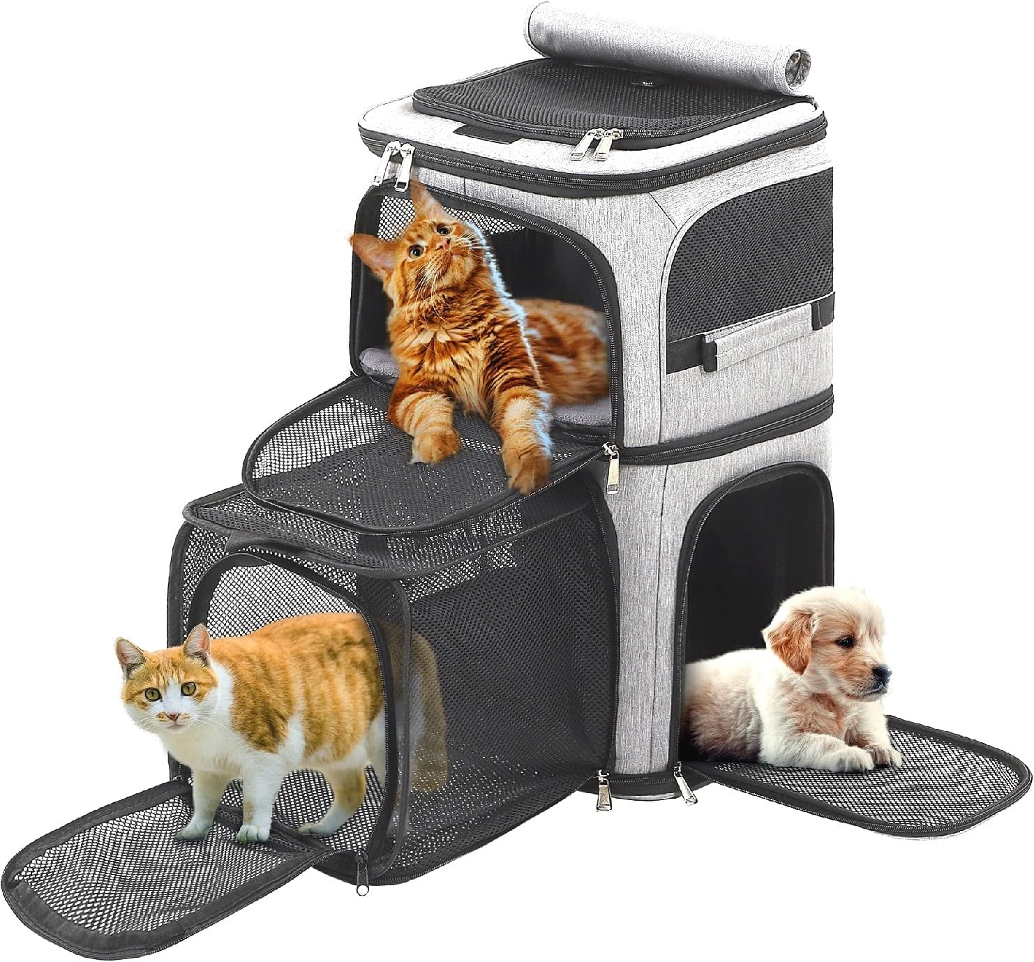 Expandable Cat Backpack Carrier for 2 Cats, Expandable Cat