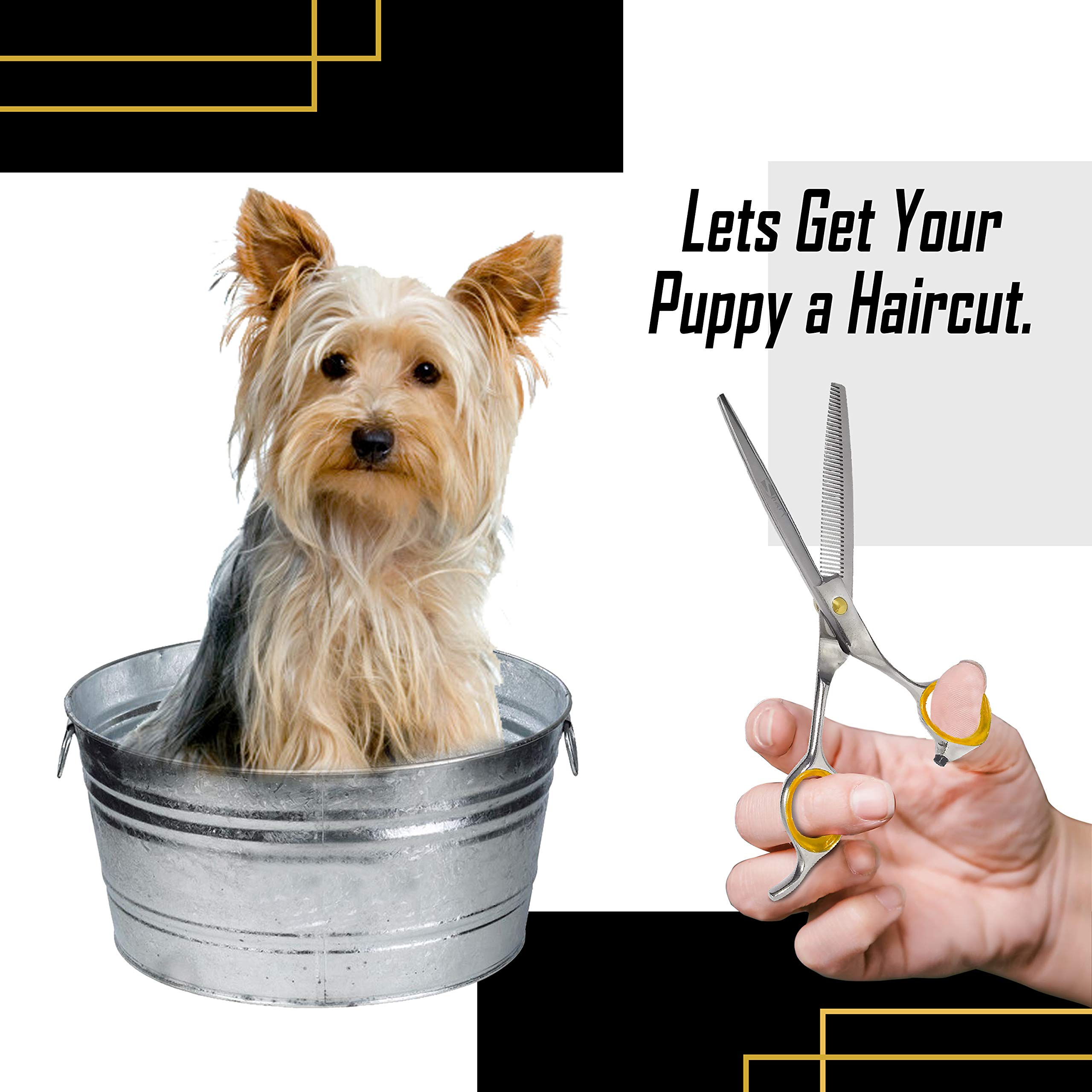 Sharf Ciseaux à effiler Gold Touch - 17,8 cm - 46 dents - Ciseaux de toilettage professionnels pour chien - Pointe fine - Ciseaux à effiler japonais en acier inoxydable 440 C